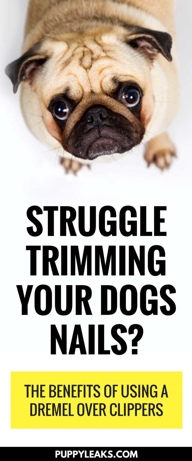 Struggle trimming your dogs nails? The benefits of using a nail dremel over clippers.